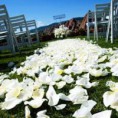 /album/bodas/bodasaire-66-jpg/